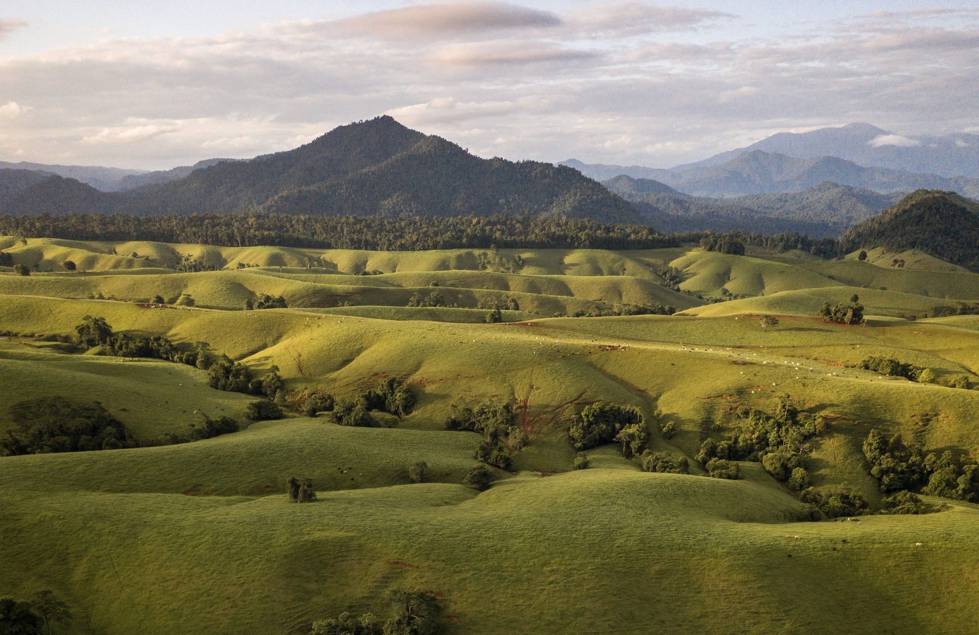 Atherton Tablelands, Tropical North Queensland