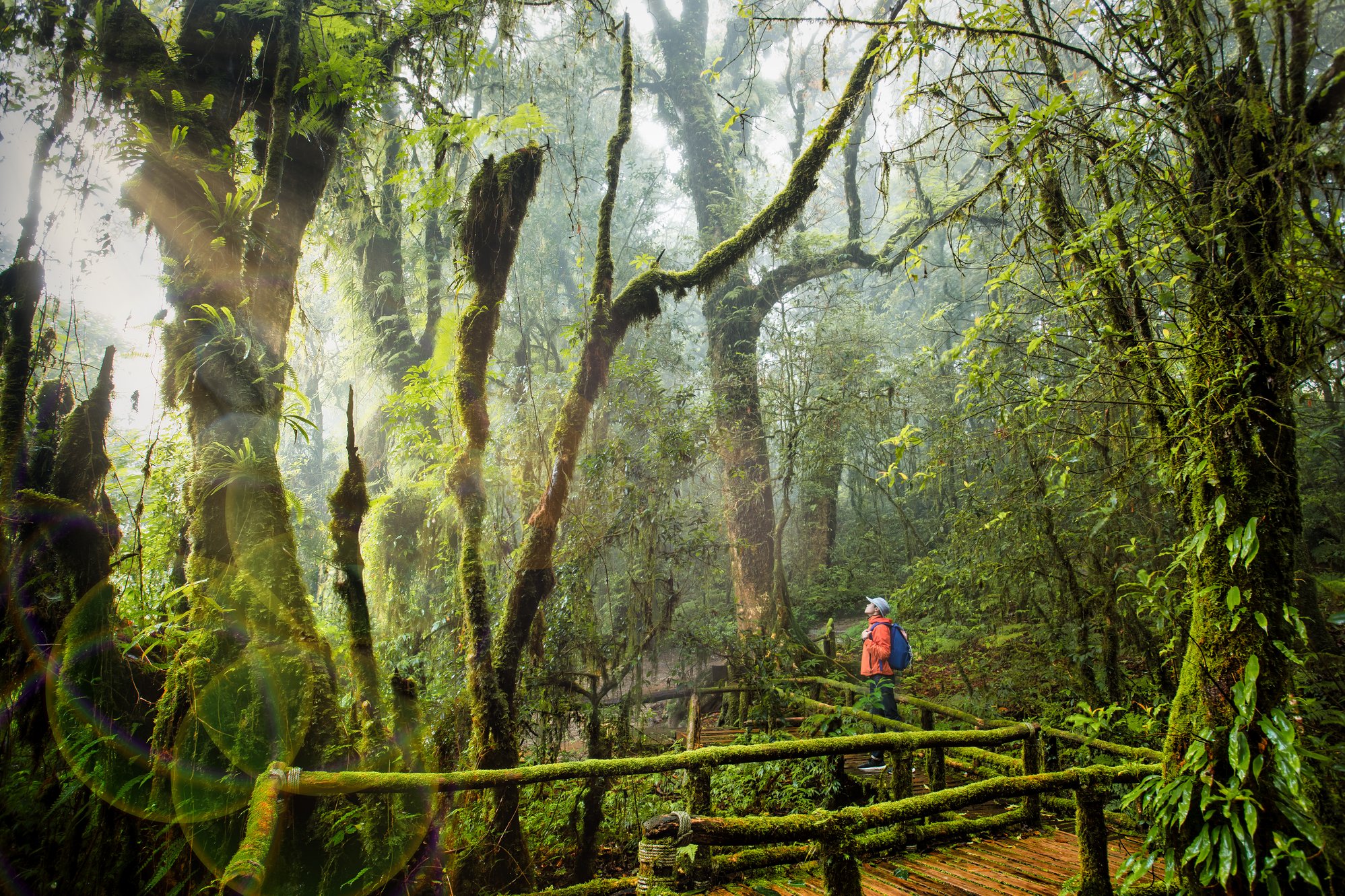 Copy of Chiang Mai-Ang Ka Nature Trail-Doi Inthanon National Park 024BB[P]