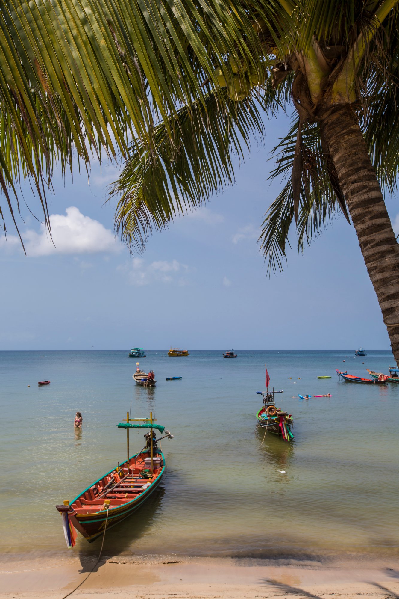 GAdventures_Thailand-KohTaoBeach-PalmTree-Boats 