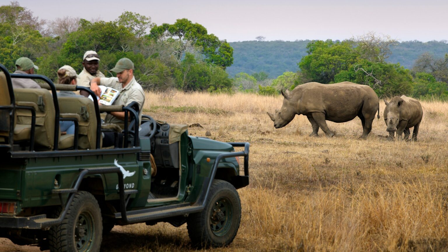 South-Africa-Phinda-Private-Game-Reserve-Game-Drive-Rhino_7-1536x864